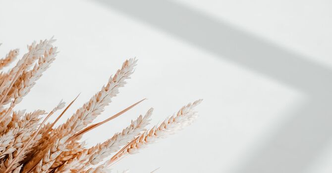 Tired of persistent pigmentation?  image