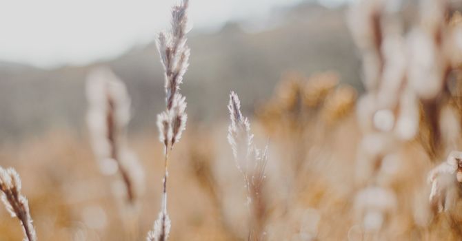 Tired of persistent pigmentation? 