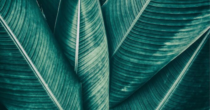 Tired of persistent pigmentation?  image