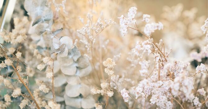 Find "Botox Near Me" in Whitby – Your Guide to Safe & Effective Treatments